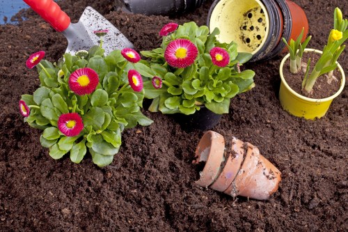 Garden maintenance in Harold Wood with tidy lawn and borders