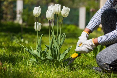 Stump grinding and tree maintenance in Harold Wood garden