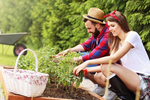 Gardening services in Harold Wood for a neat residential garden