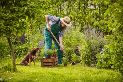 Residential garden lawn maintenance in Harold Wood