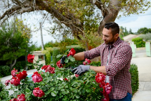 Gardener working safely in a Harold Wood garden with protective equipment