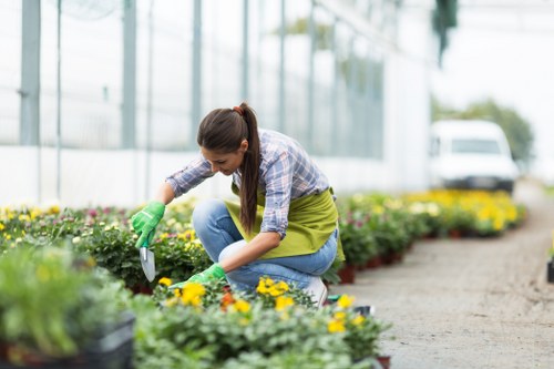 Cleared garden space in Harold Wood ready for landscaping or maintenance