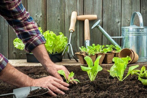 Committed garden safety standards for routine maintenance work