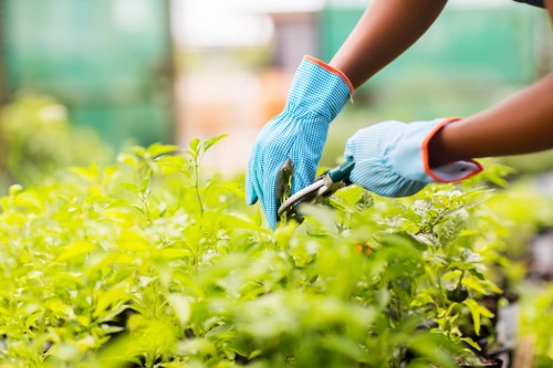 Garden waste and hedge trimming pricing for Harold Wood homes
