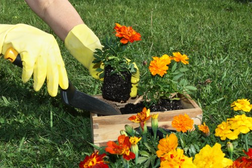 Garden waste removal and outdoor cleanup service in Harold Wood