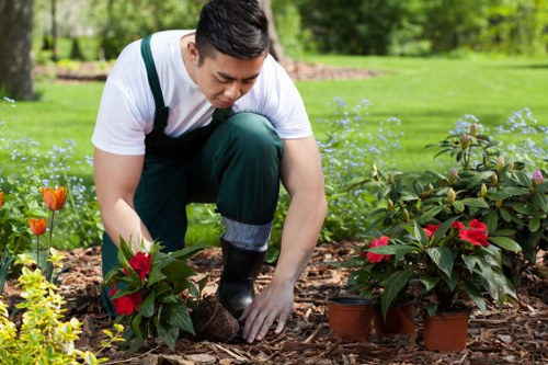 Soft landscaping planting scheme for a Harold Wood garden