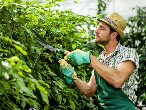 Zero-tolerance anti-slavery policy in landscaping