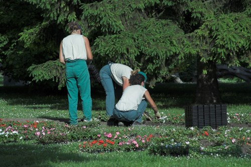 Local garden maintenance in Harold Wood with healthy planting