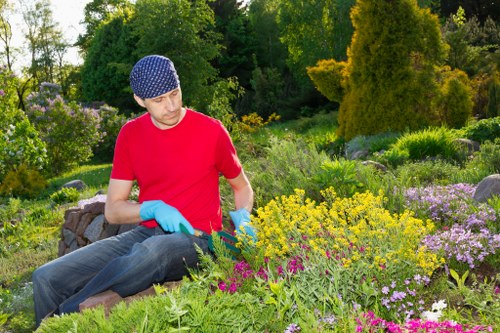 Seasonal hedge maintenance work in a Harold Wood outdoor space