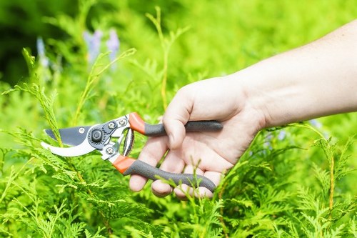 Soft landscaping in Harold Wood with seasonal plants and greenery