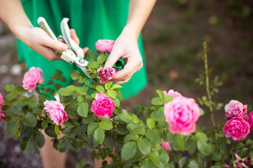 Professional gardeners shaping a well-kept Harold Wood garden