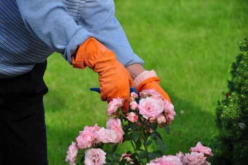Professional Gardeners Harold Wood completing a safe and careful garden service