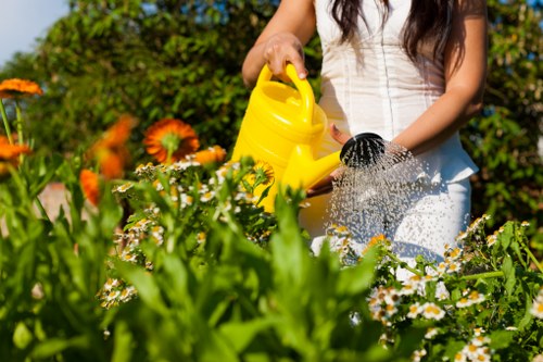Free quote estimate for a Harold Wood garden job