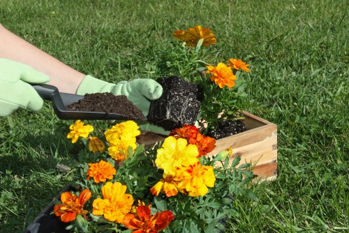 Professional gardeners in Harold Wood trimming and shaping outdoor areas