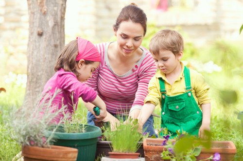 Professional garden care services in Harold Wood with hedge trimming