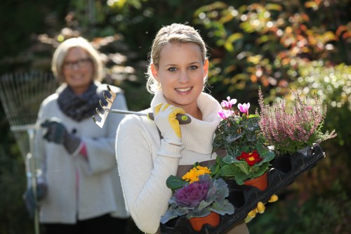 Harold Wood garden care for lawns, borders, and hedges