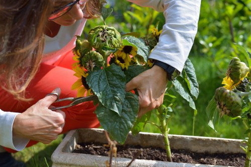 SSL-encrypted payment processing for Gardeners Harold Wood services