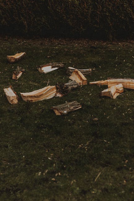 A green wheelbarrow filled with chopped firewood and logs placed on a grassy area in a garden, with some scattered pieces of wood on the ground nearby. The garden features a hedge with dense foliage i