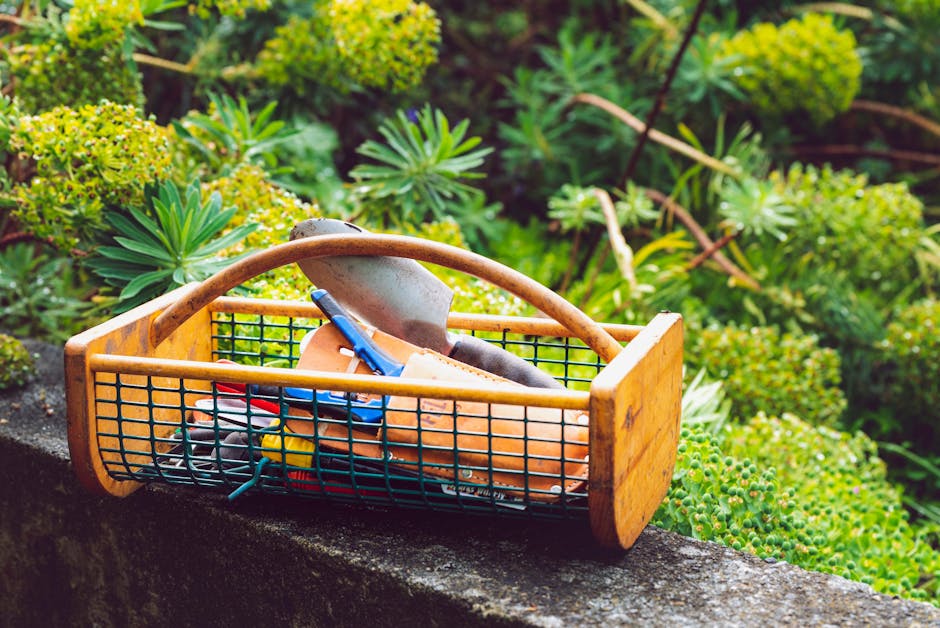A wooden and metal garden trowel and a pair of pruning shears rest inside a green wire basket with wooden handles, placed on a stone garden wall. Surrounding the basket are various plants, including s