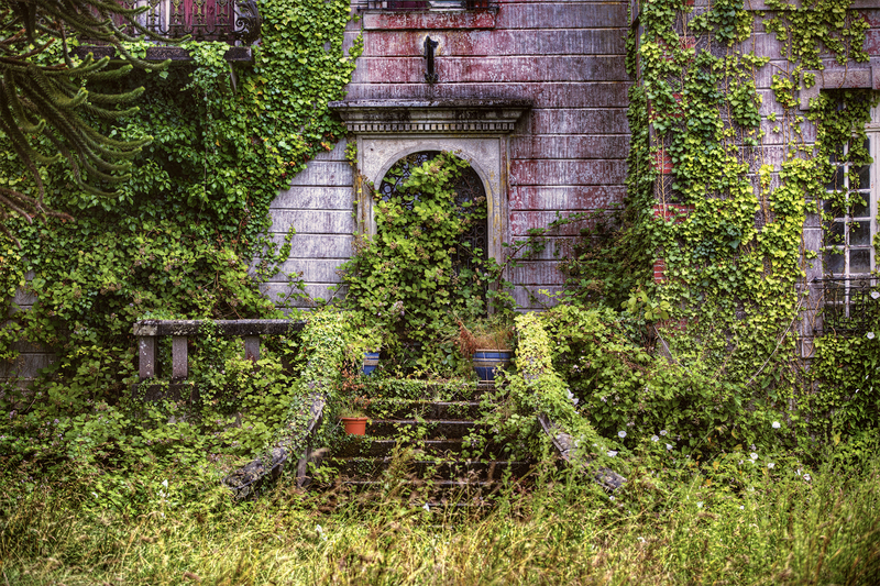 Lawn care garden design